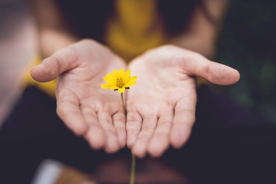 hands open with yellow flower